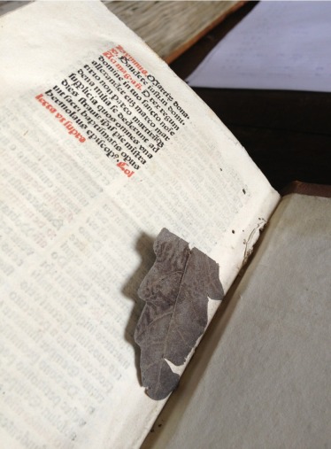 Zutphen, Librije, leaf bookmark in early print - Photo EK