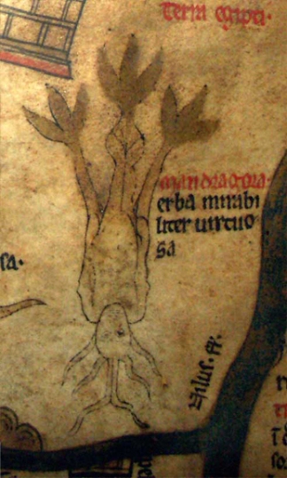 Hereford Cathedral, Mappa Mundi, detail (Mandrake)