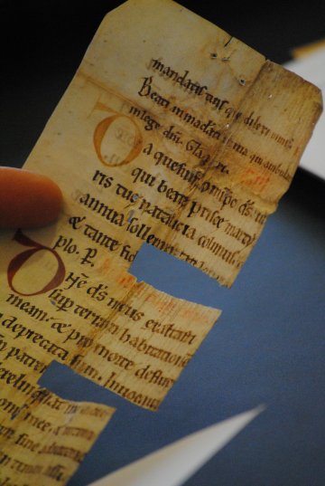 Leiden, University Library, fragment from BPL collection - Photo Julie Somers